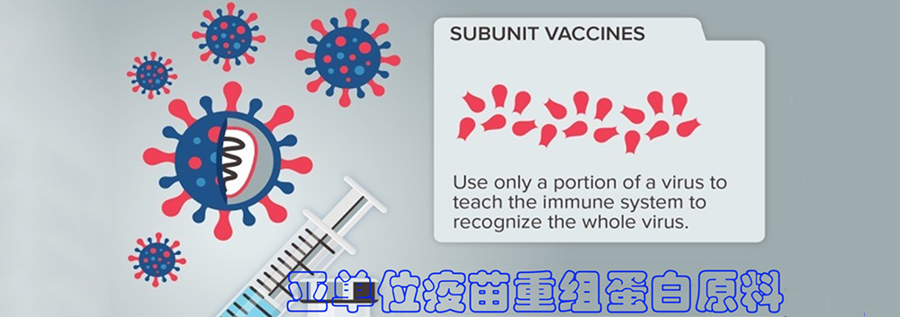 通栏图片